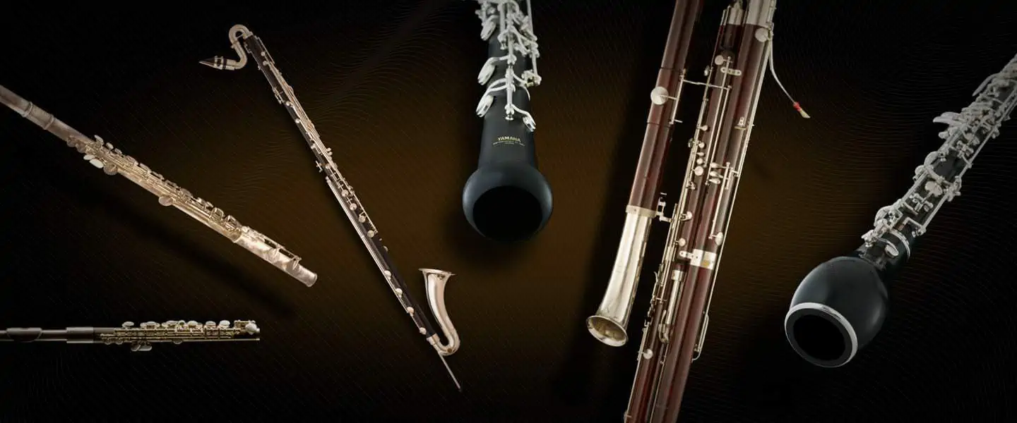 Easiest wind instrument to learn