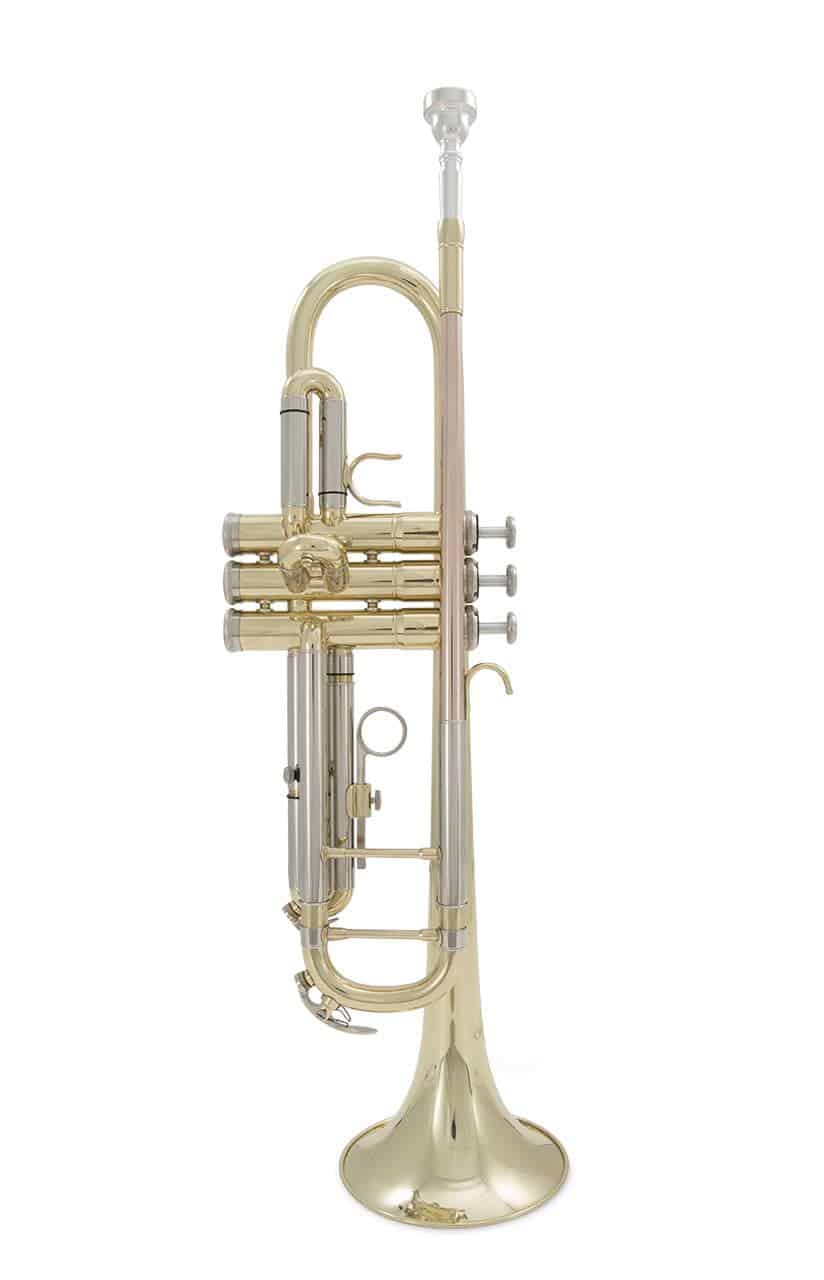 How To Choose the Right Brass Instrument How to choose the right brass instrument trumpet