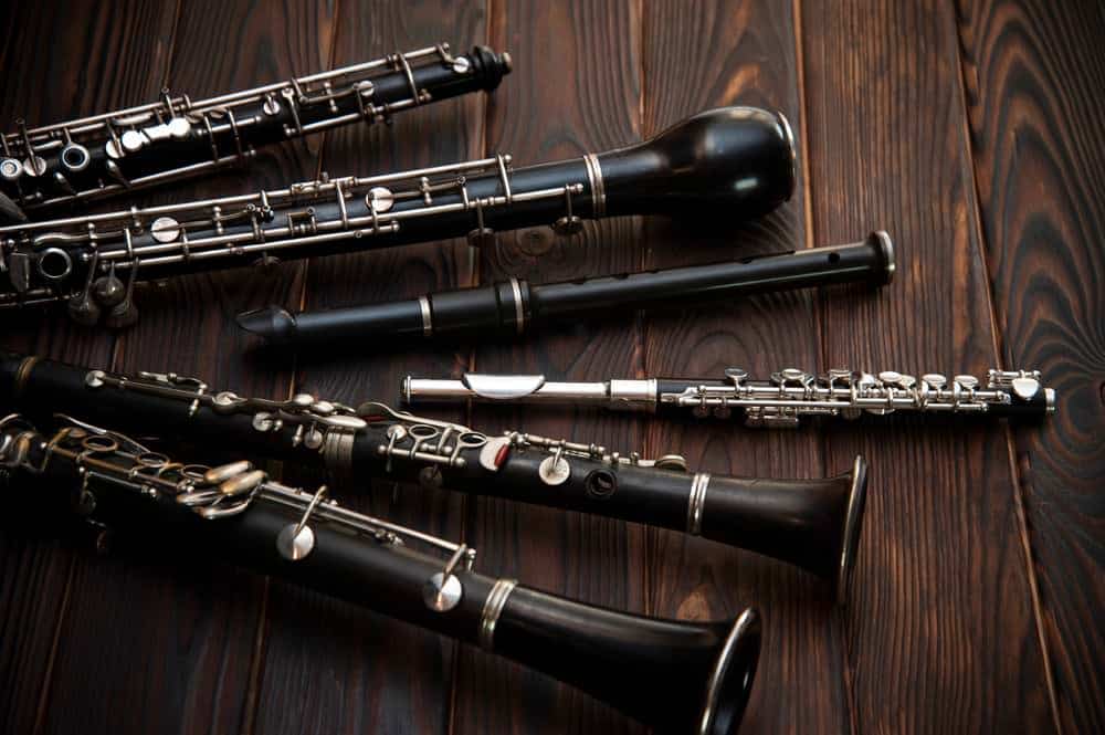 Instruments In The Woodwind Family | Ted's List