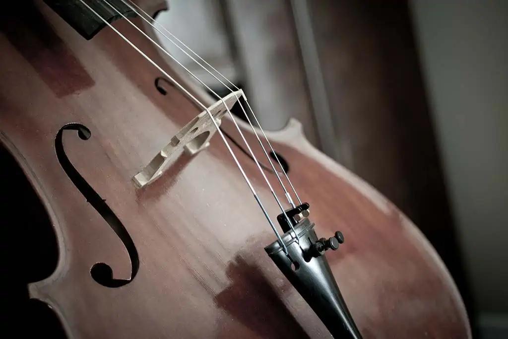 String Instrument Sizes
