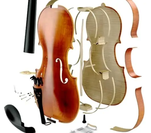 How does a violin work?