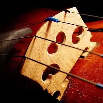 Violin Bridge
