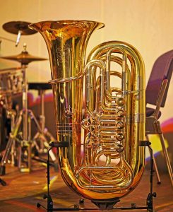 18 Best Acoustic Guitar Under 5000 Tuba Price