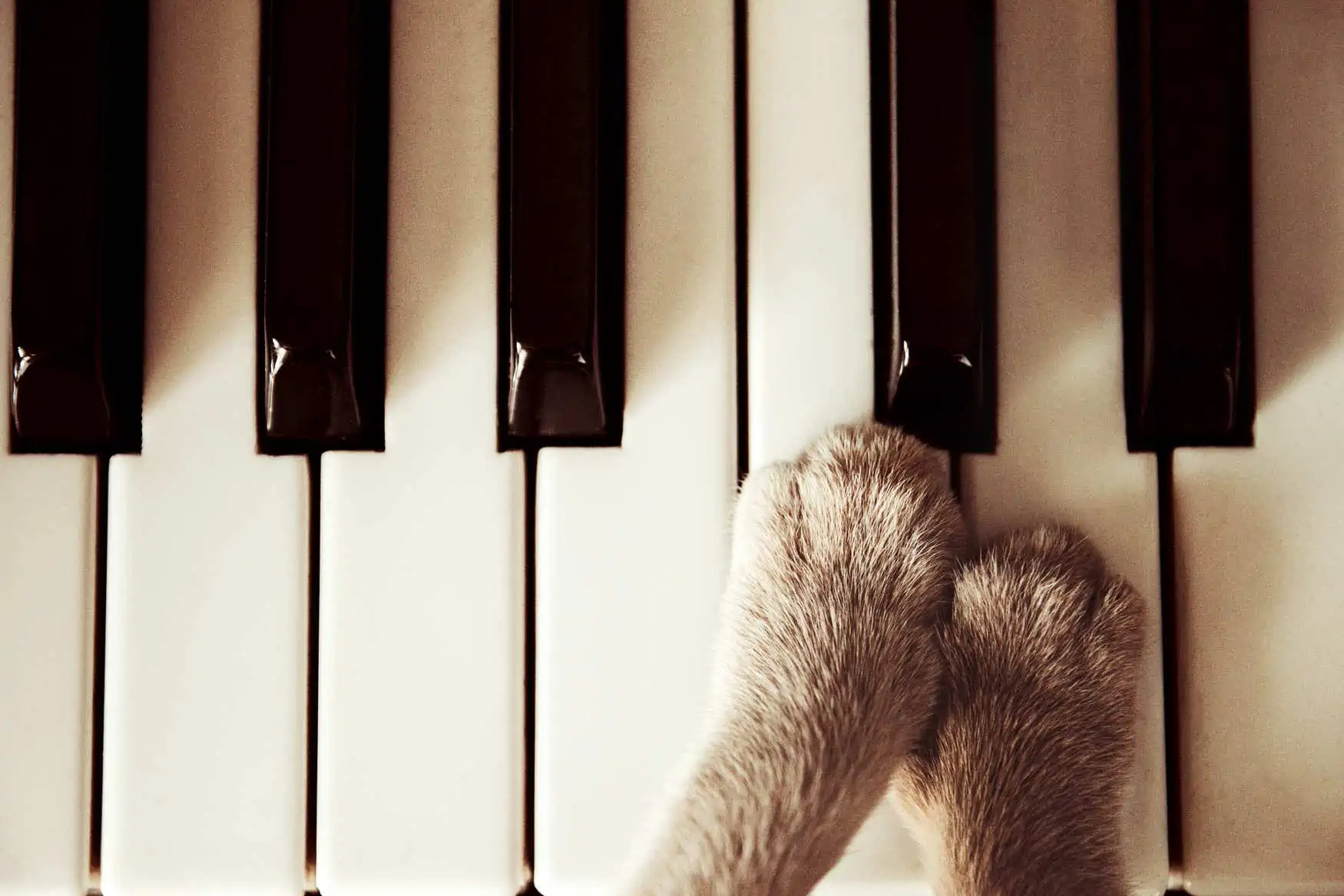 Proper Piano Hand Position