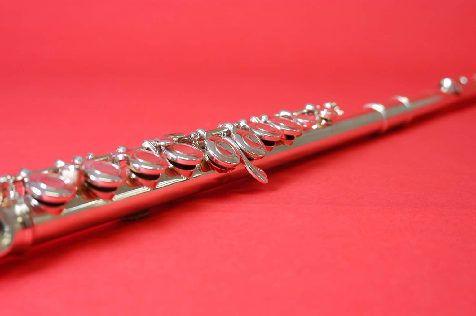 Best Flute Brands Ted's List