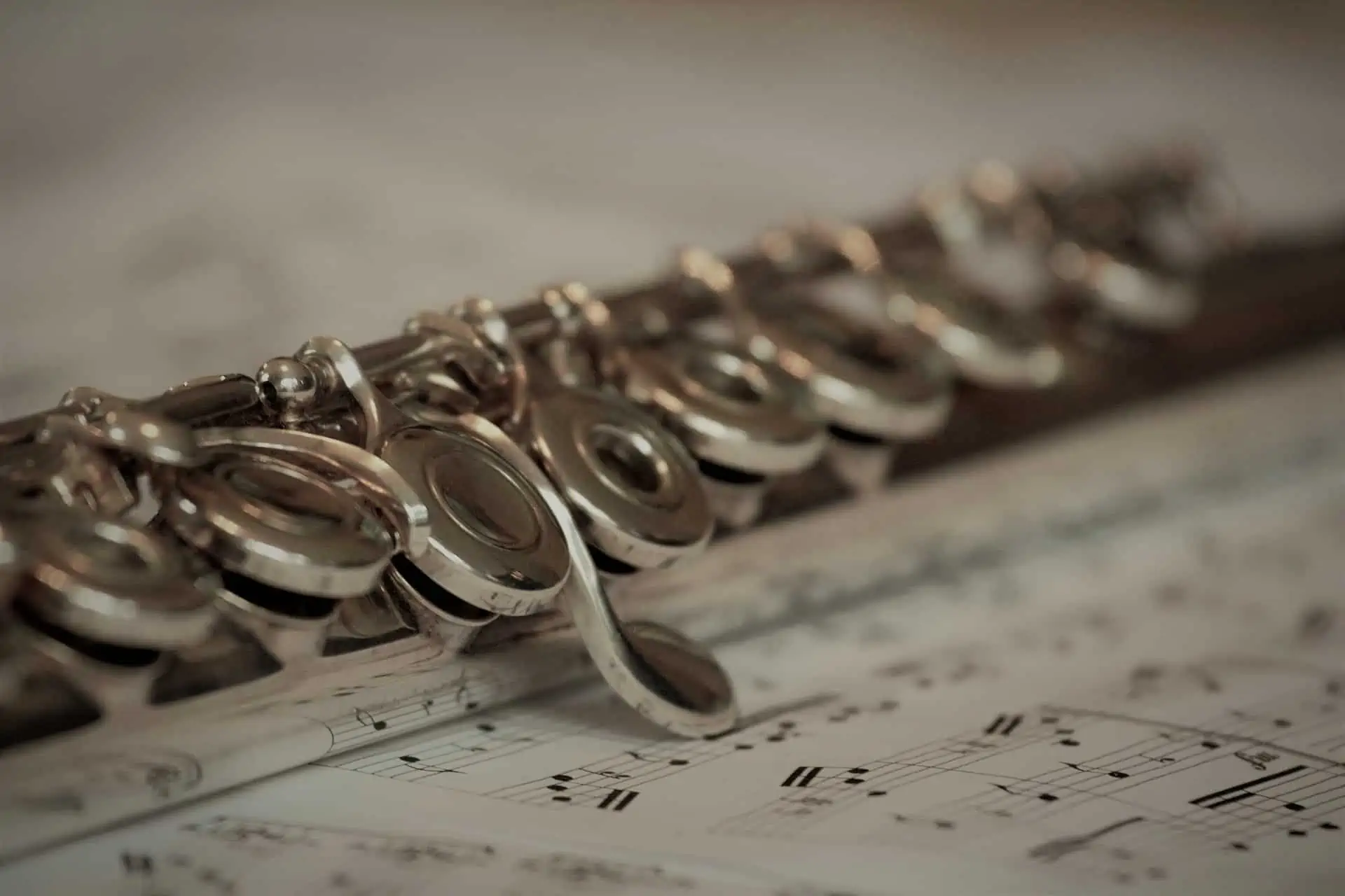 Flute for beginners