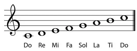 scale