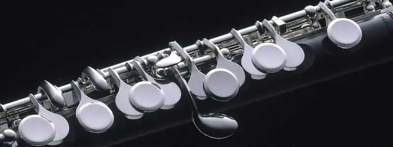 Top 10 Tips To Playing The Piccolo