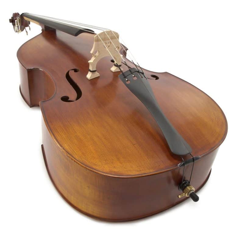 Best Double Bass For Beginners Ted