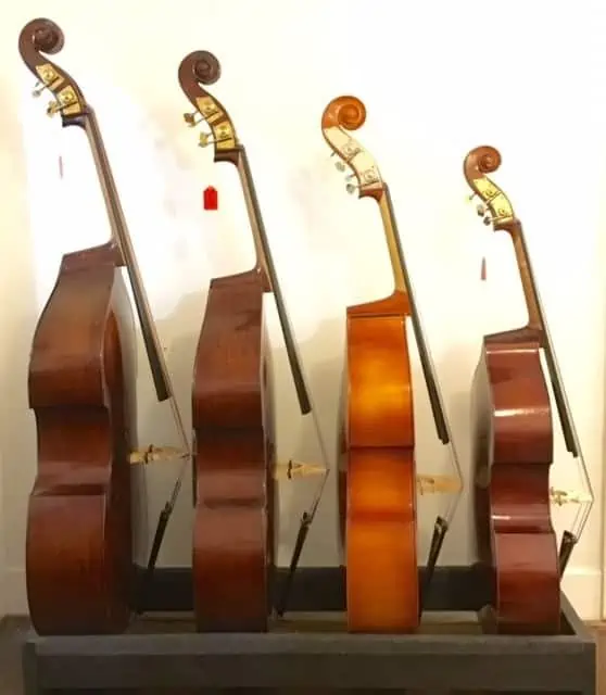 Best Double Bass For Beginners
