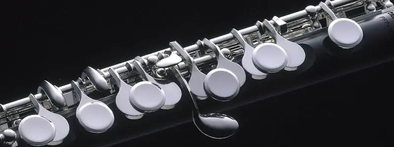 Best Piccolo Brands