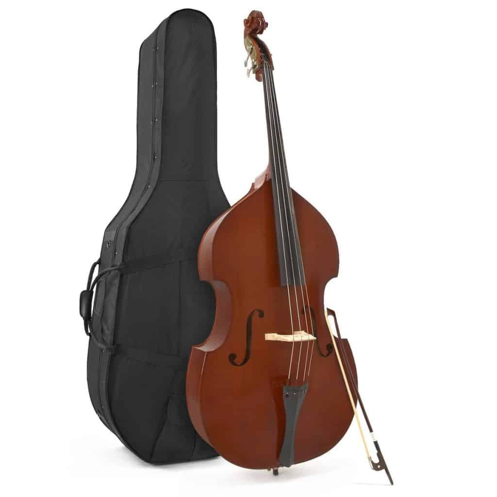 Easiest String Instrument To Learn Ted's List