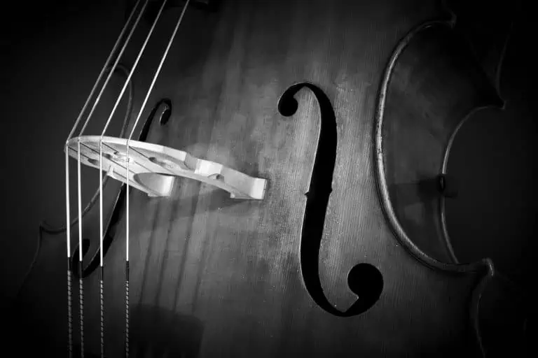 Double Bass from $750:£500