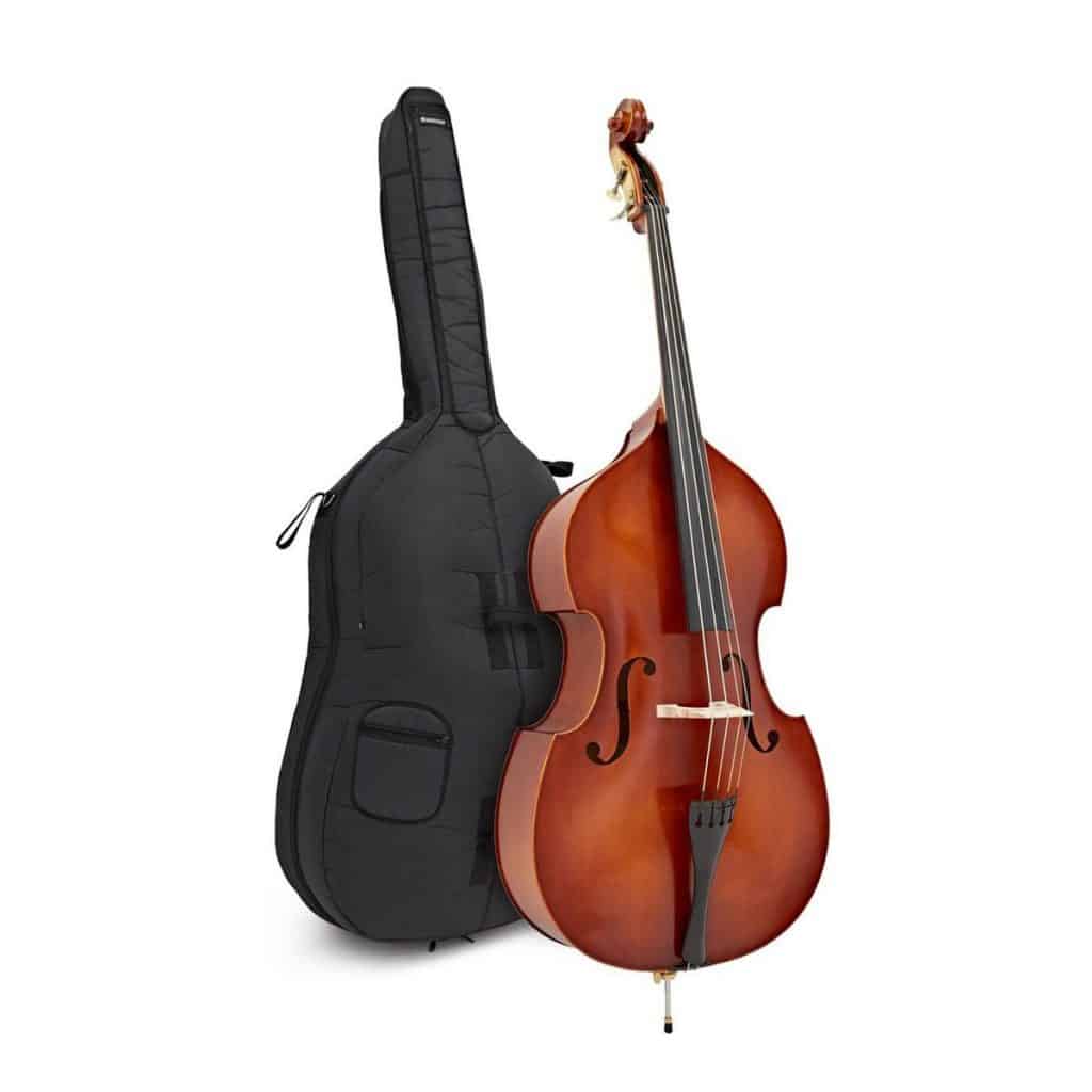 Best Double Bass For Beginners Ted's List