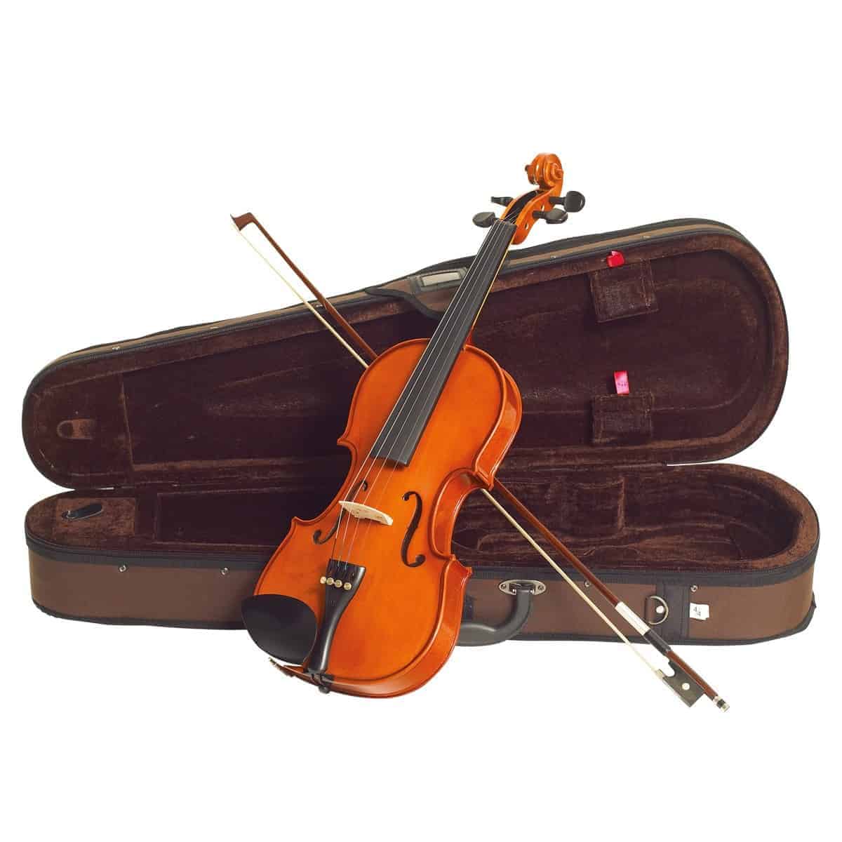 How Much Does A Good Violin Cost? (2024) Ted's List