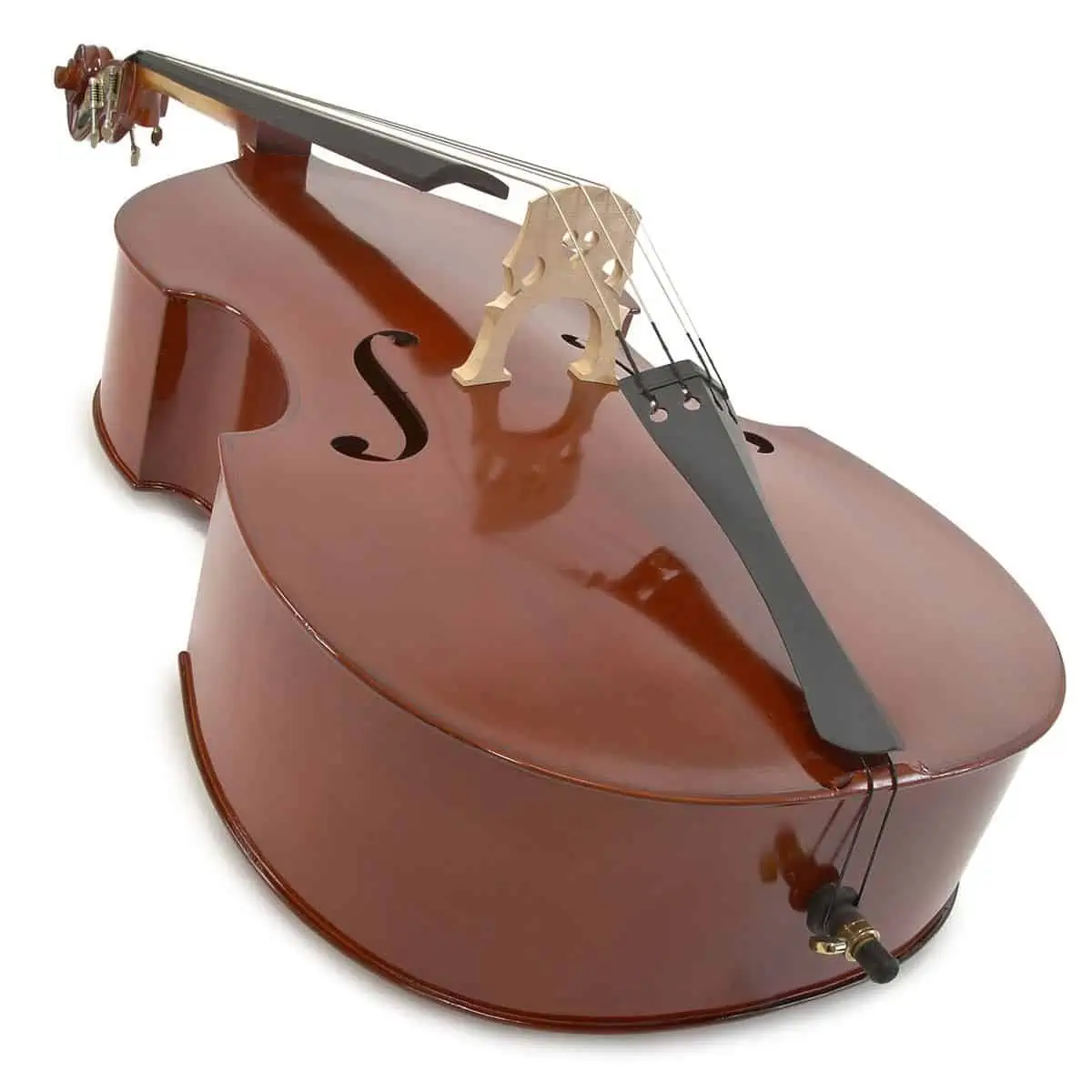 Best double bass for beginners