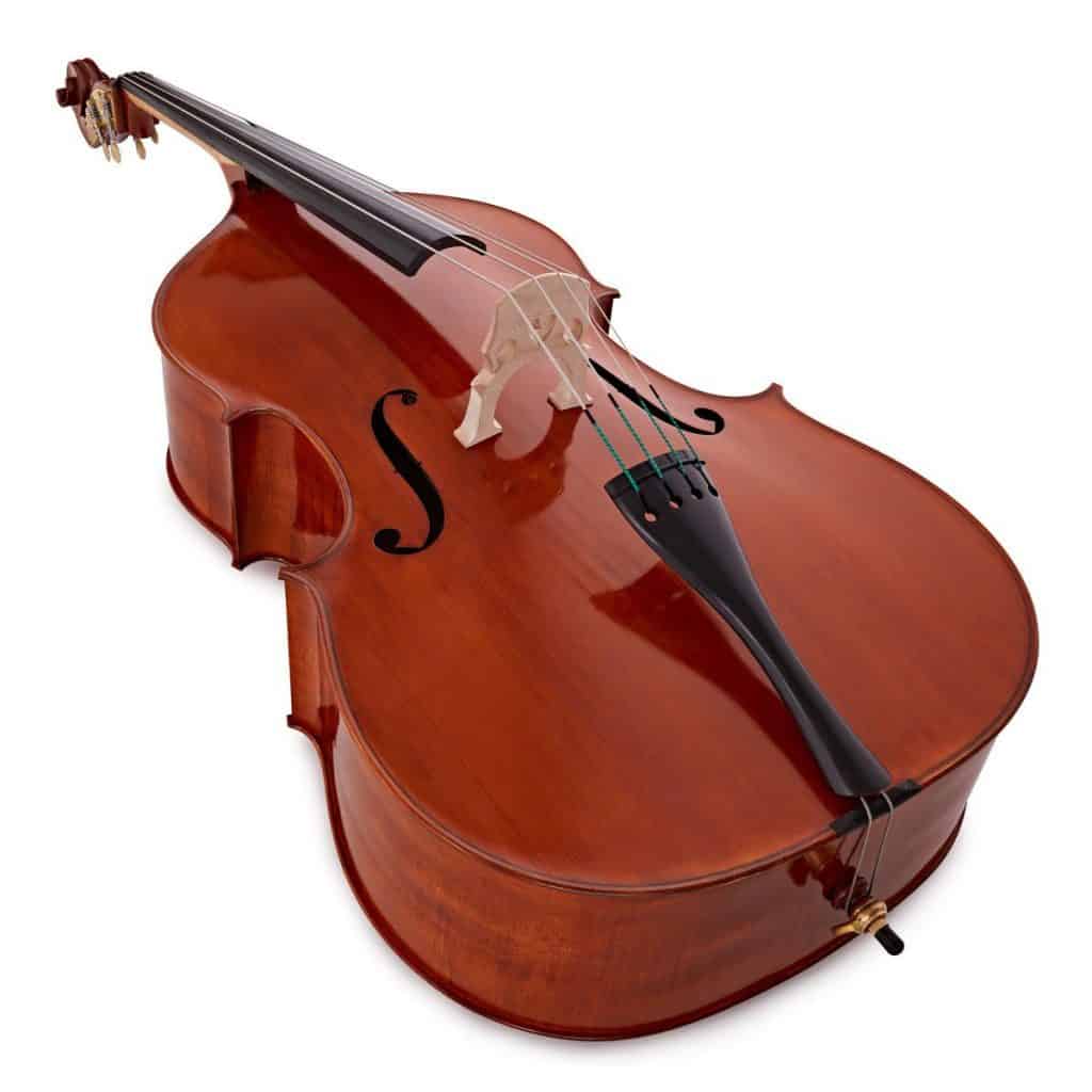 Best Double Bass For Beginners Ted's List