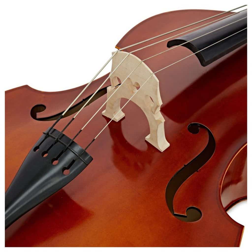 Best Double Bass For Beginners Ted's List