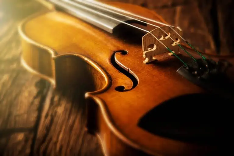 Violin Buyer’s Guide