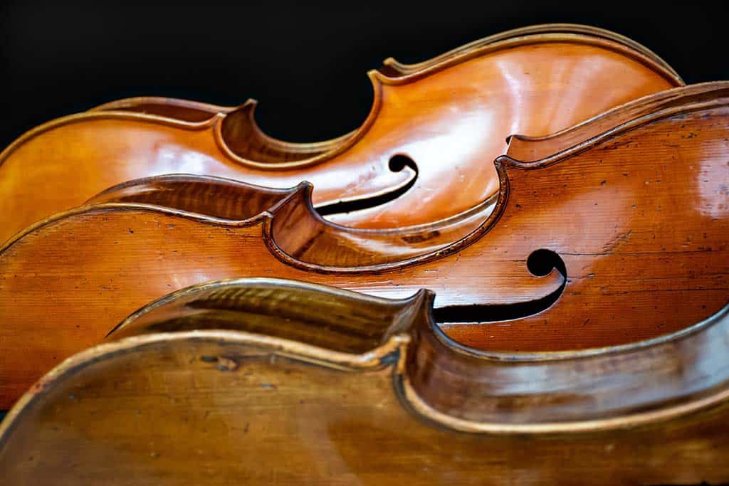 Top 5 Cellos For Beginners Top 5 Cellos for beginners