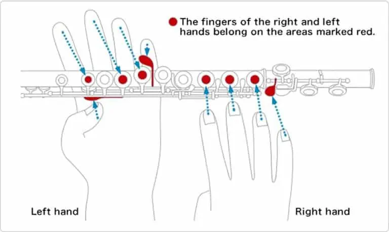 Flute for beginners