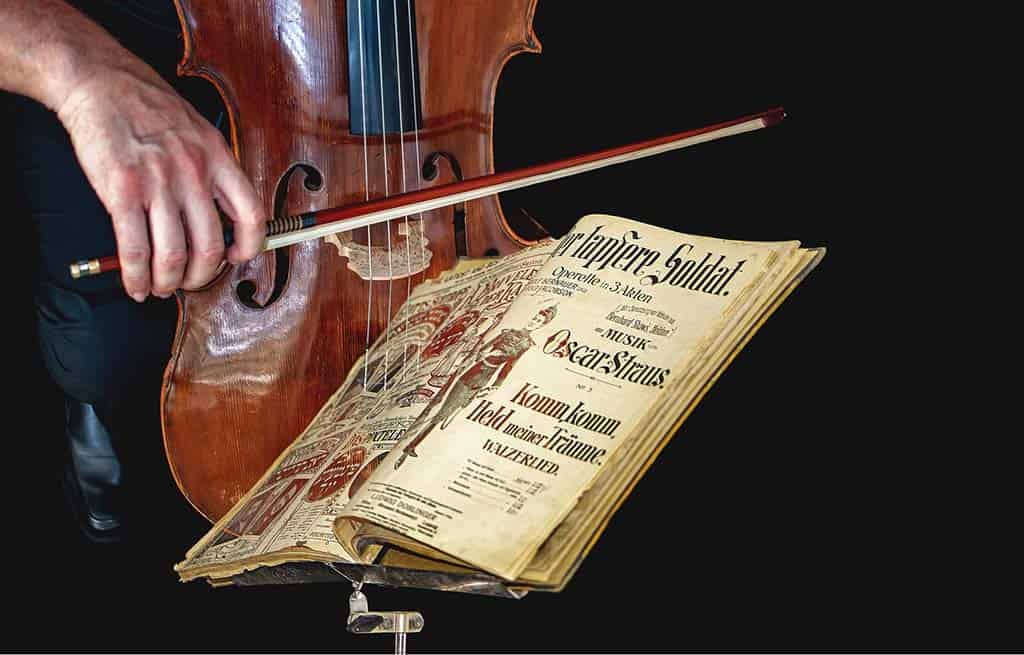 Top 5 Cellos For Beginners Top 5 Cellos for beginners