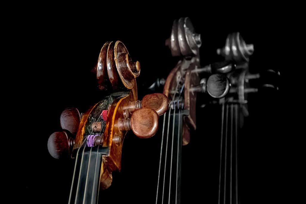 Top 5 Cellos For Beginners Top 5 Cellos for beginners