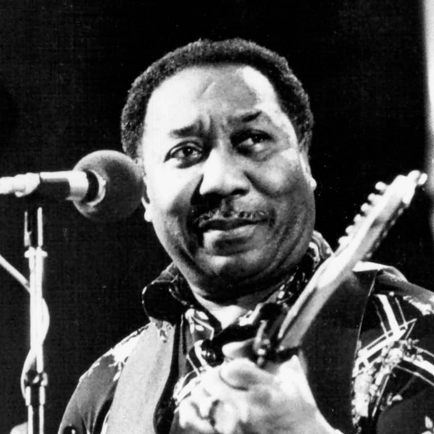 Muddy Waters