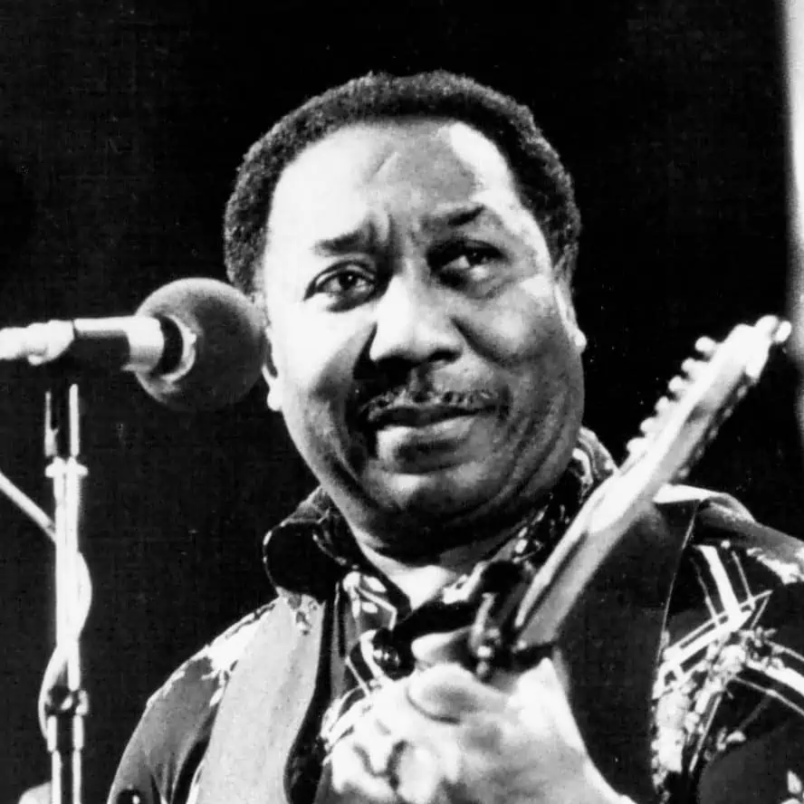 Muddy Waters