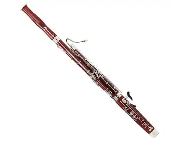 21 Best Bassoons