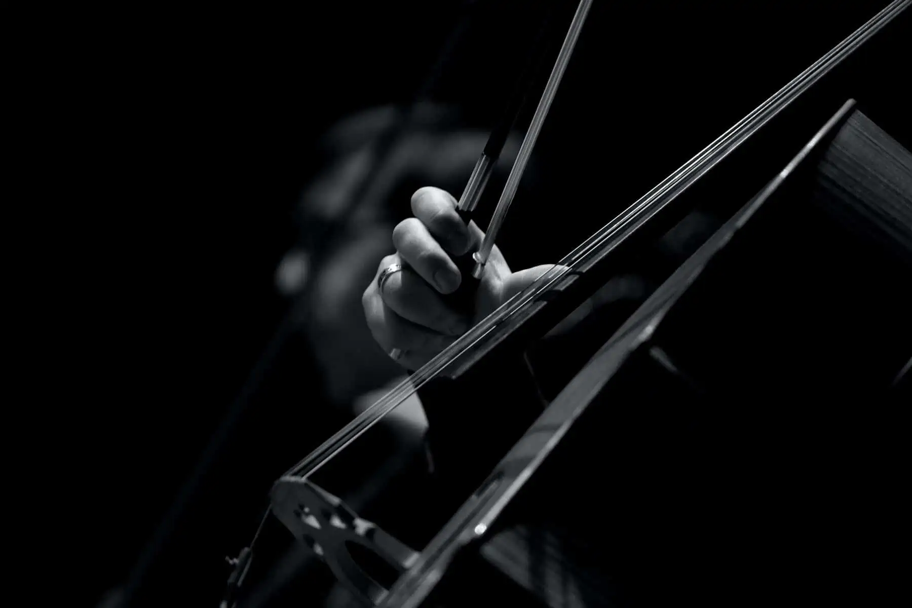 Cello Buyer's Guide