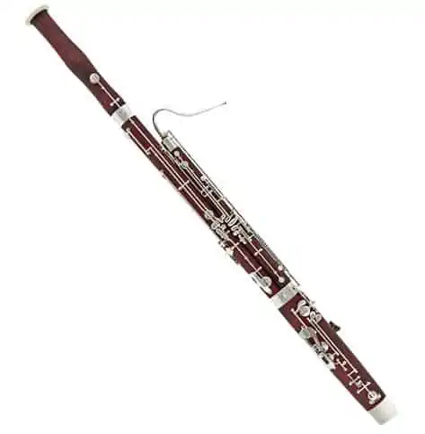 21 Best Bassoons