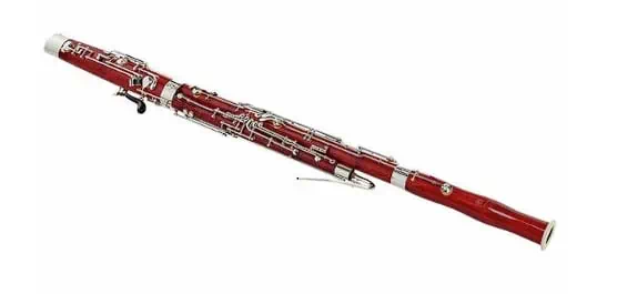 21 Best Bassoons