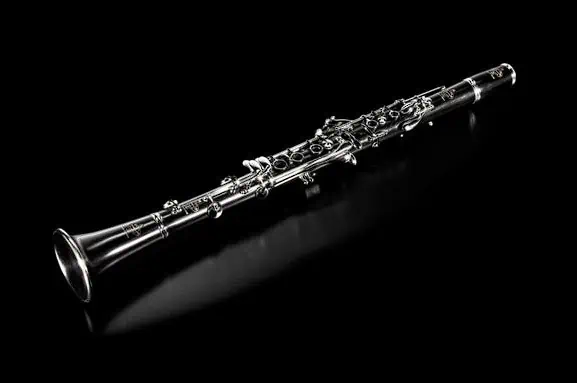 Buffet R13 Professional B Flat Clarinet review