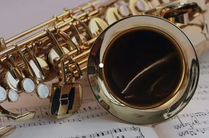 Everything the Beginner Need To Know About Saxophone Music