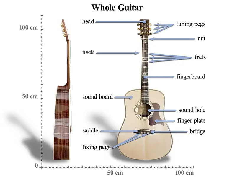 Anatomy-of-the-acoustic-guitar