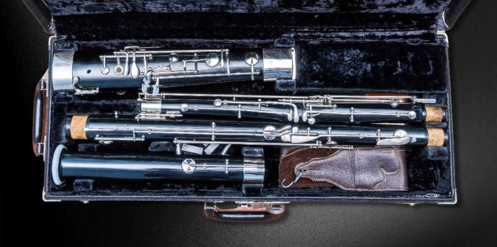 How To Play Bassoon Top 10 Tips Ted's List