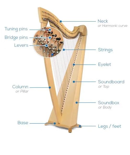 How Does A Harp Work