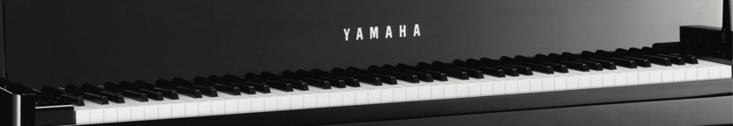 The 15 Best Keyboard Pianos And Digital Pianos (2024)