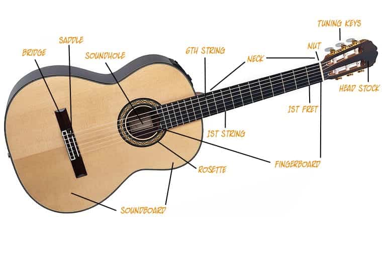 Classical Guitar Anatomy