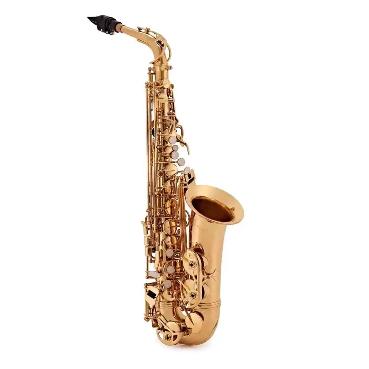 ConnSelmer DAS180 Avant review