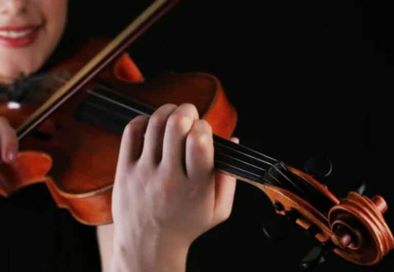 How To Hold A Violin Bow | Ted's List