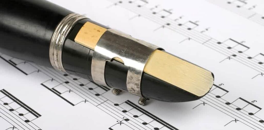 Best Reeds For Beginners (2023) Ted's List