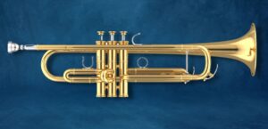 13 Trumpet Accessories