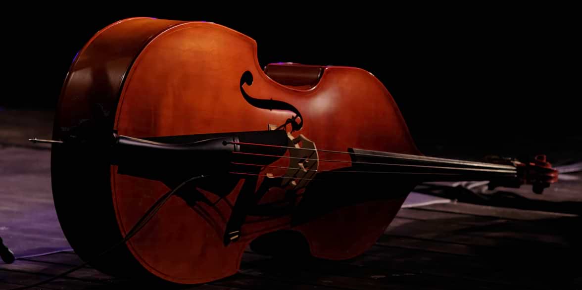 Double Bass Sizes Ted's List