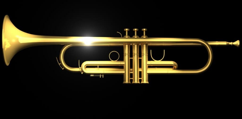 11 Best Trumpet Valve Oil (2024) Ted's List