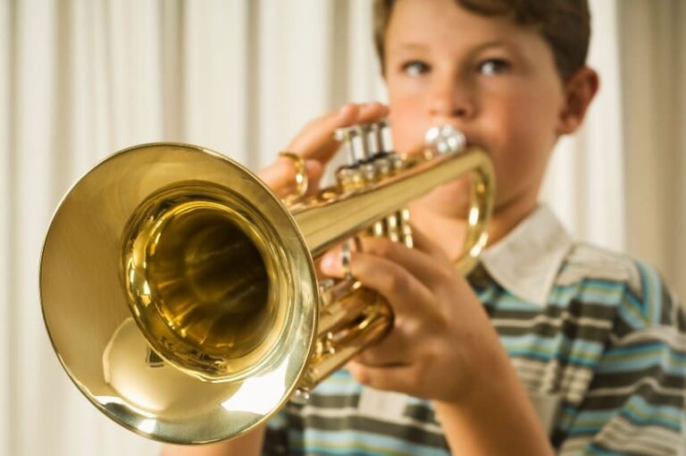 How Much Does A Trumpet Cost Ted's List