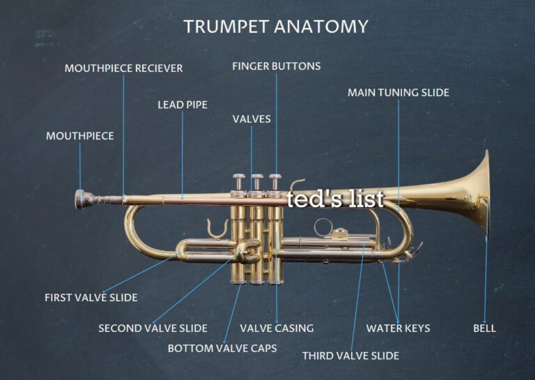 How Much Does A Trumpet Cost Ted's List