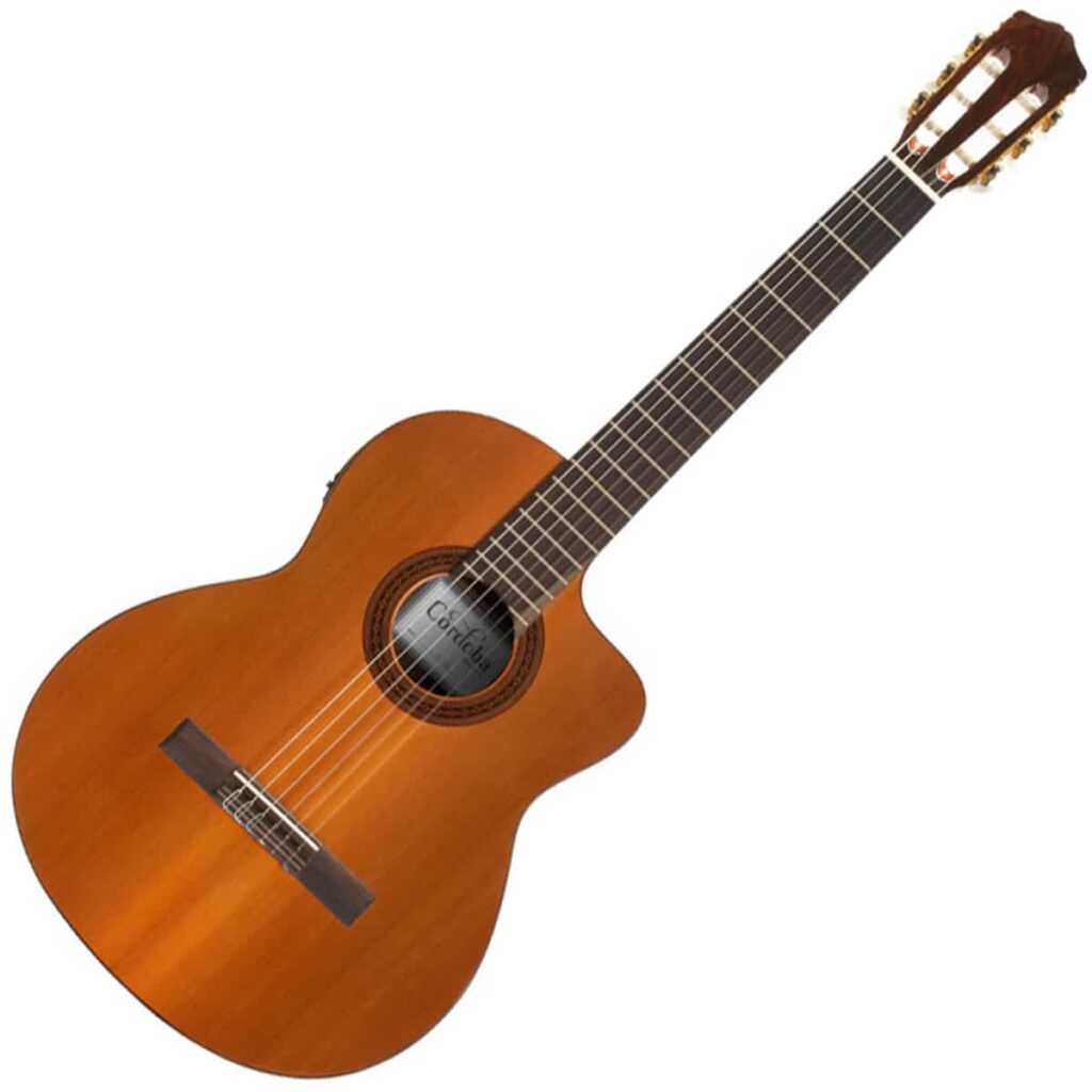 What Are The Best Classical Guitar Brands? (2023) Ted's List