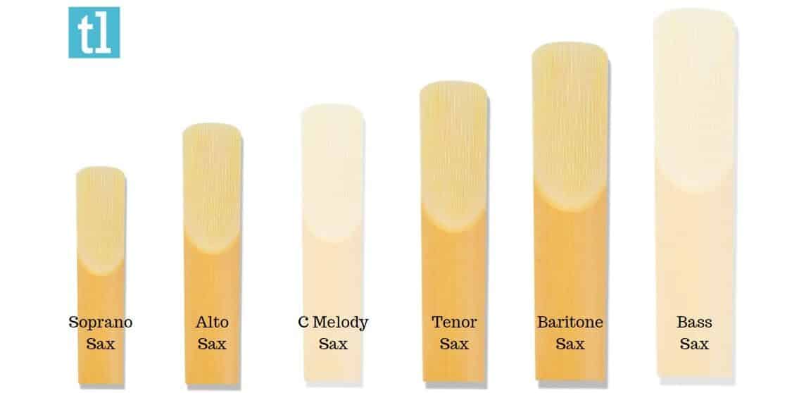 Best Reeds For Alto Sax (2023) Ted's List